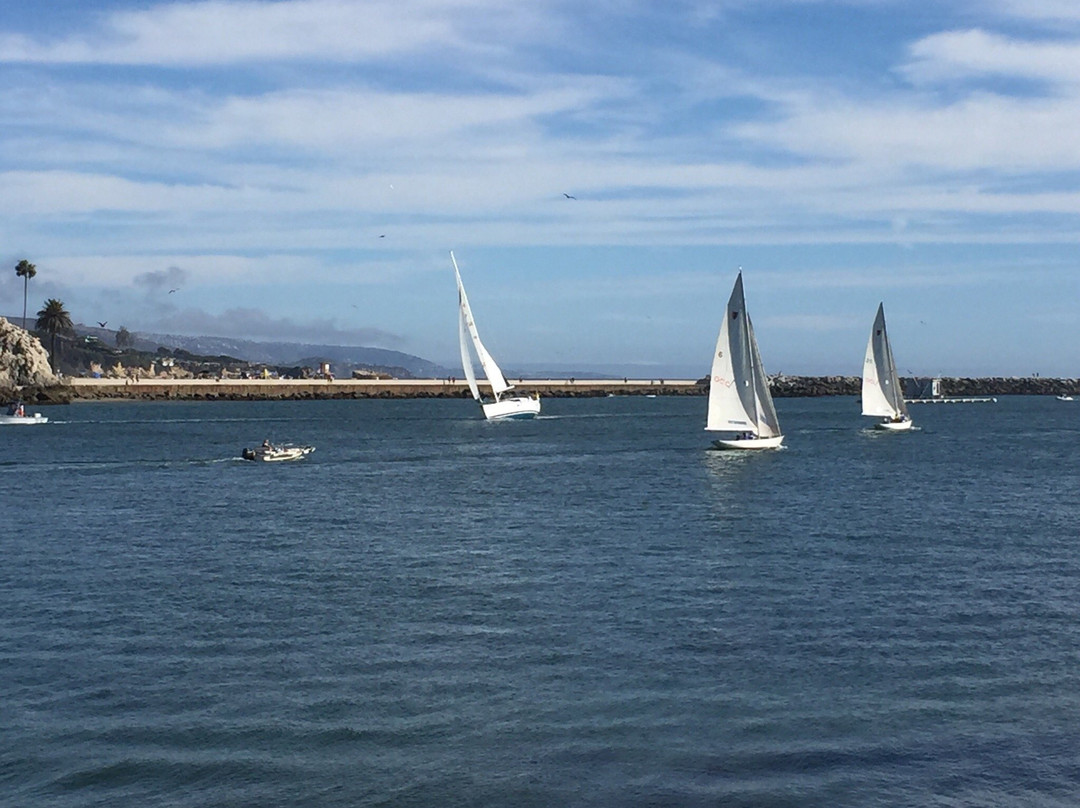 West Jetty View Park-纽波特海滩必去景点