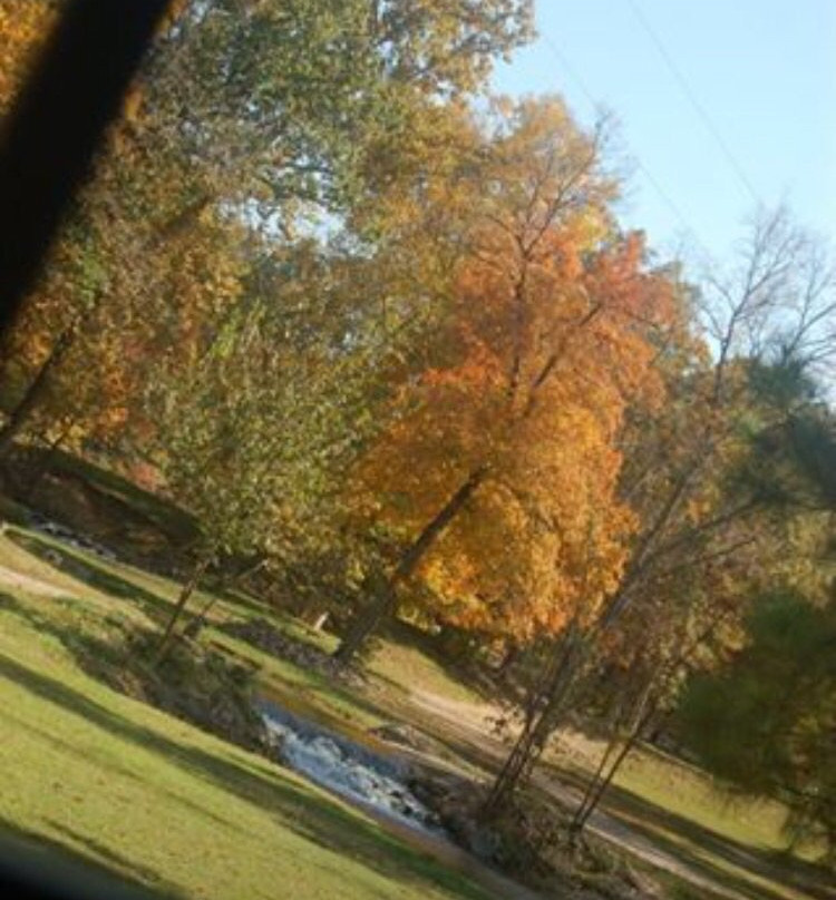 Chimney Rock Hollow主图