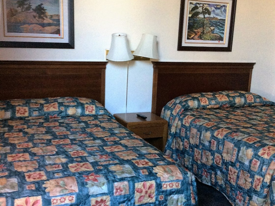 Kowality Motor Inn主图