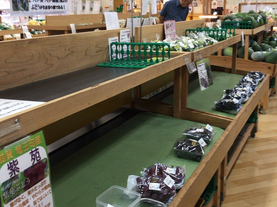 Ryuo Kagamino-sato Michi-no-Eki-龙王町必去景点