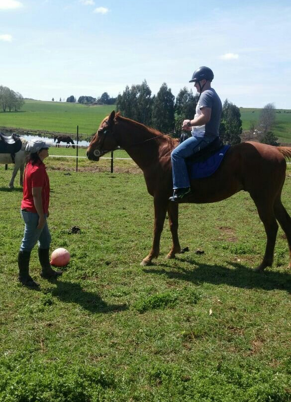 Buffelsbosch Equestrian景点图片