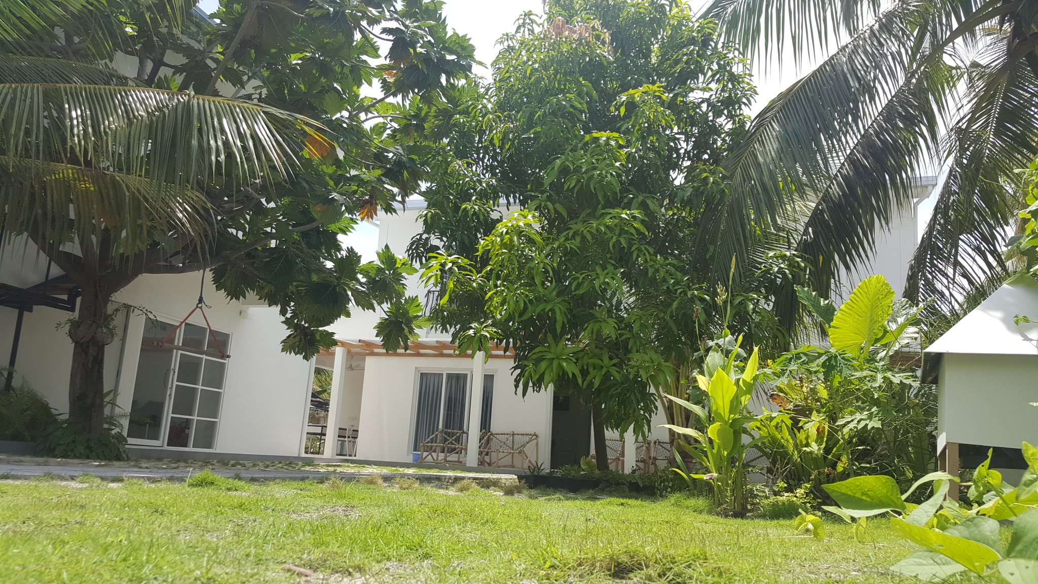 Small Island Lodge-官方