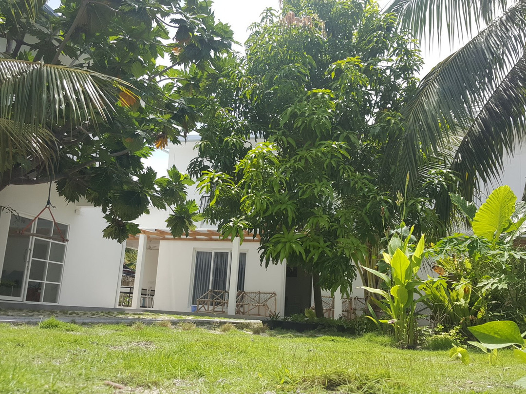 卡夫大鲁环礁酒店住宿-Small Island Lodge