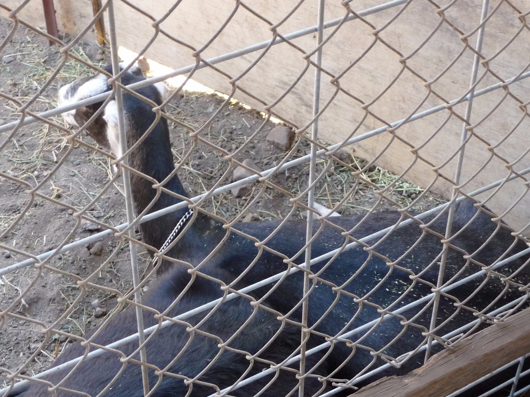 Blackberry Farm-库柏蒂诺必去景点