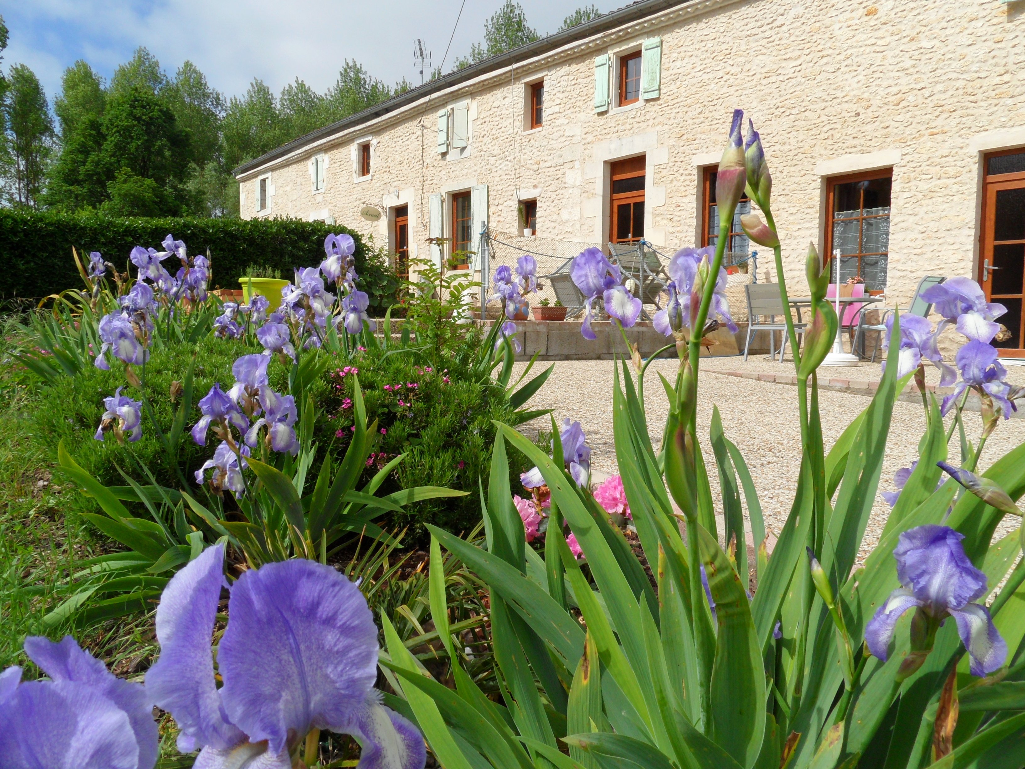 Au Jardin Près de l'Océan-官方