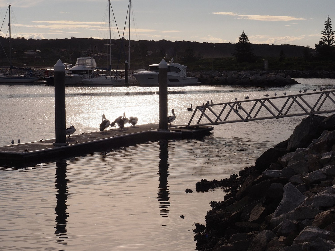 Bermagui Harbour Marina景点图片