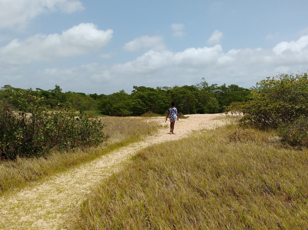Itatinga Beach景点图片