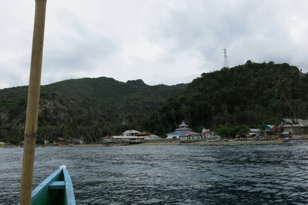 Whale Shark Sightseeing Spot景点图片