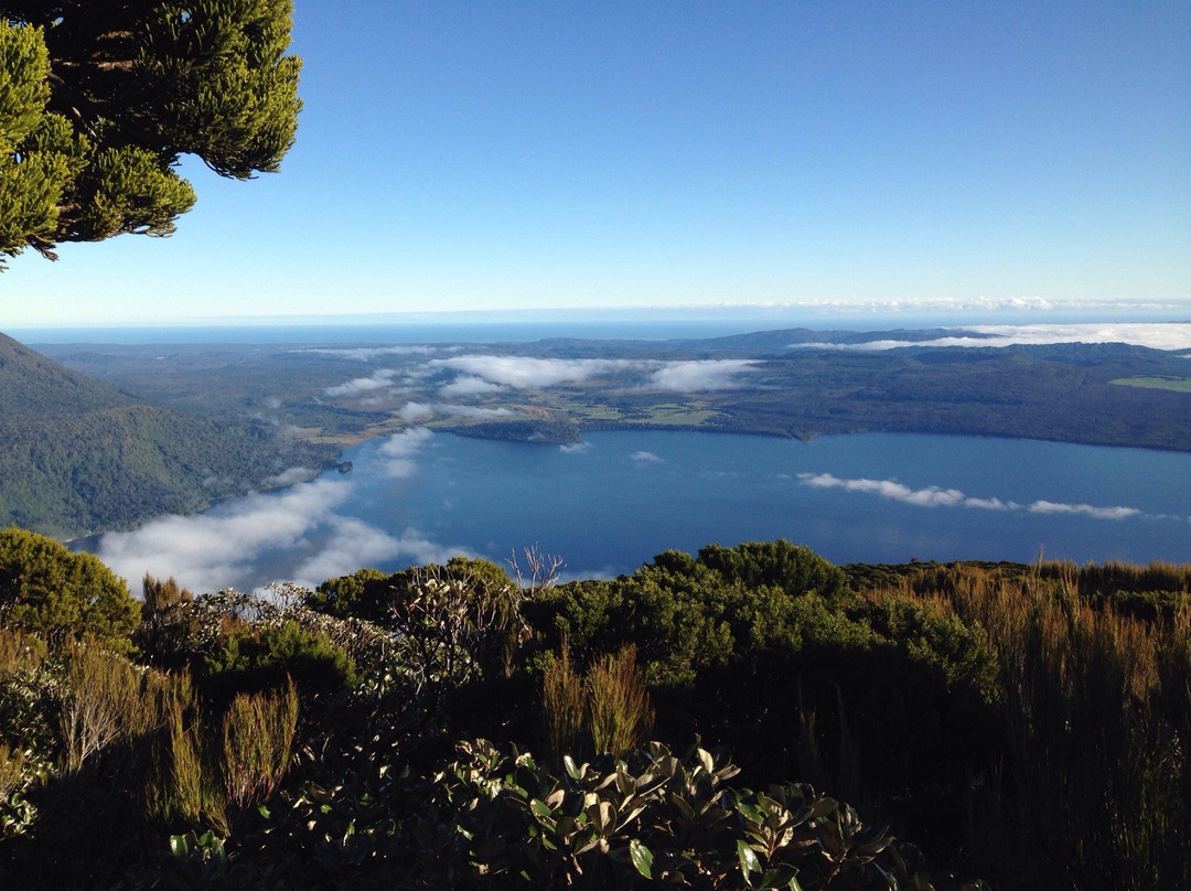 Te Kinga Summit Walk景点图片
