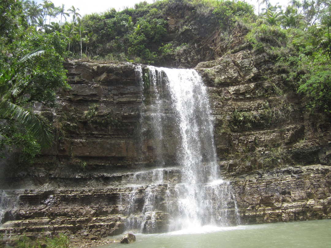 Tarzan Falls景点图片