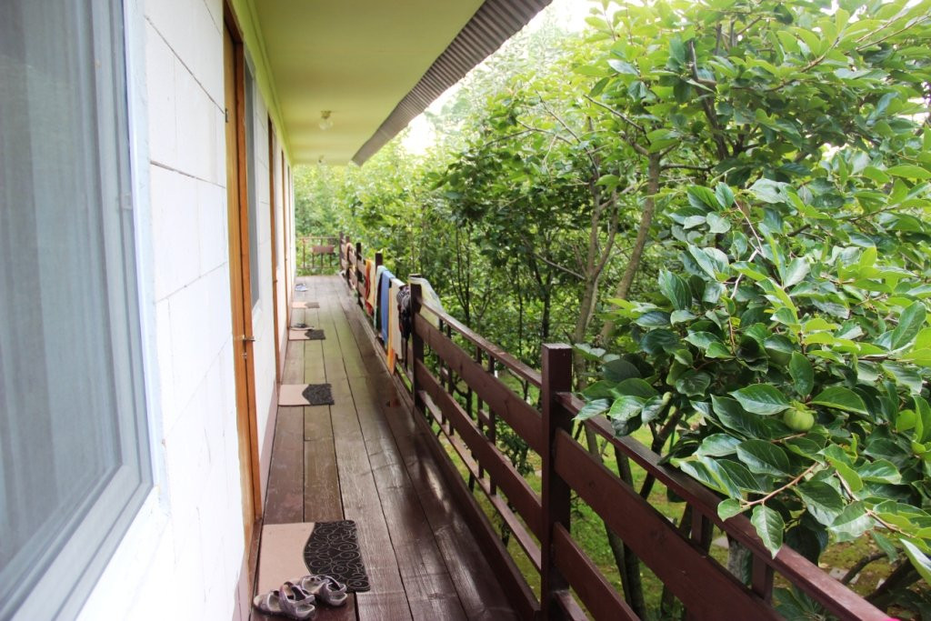 Guest House Kamelia主图