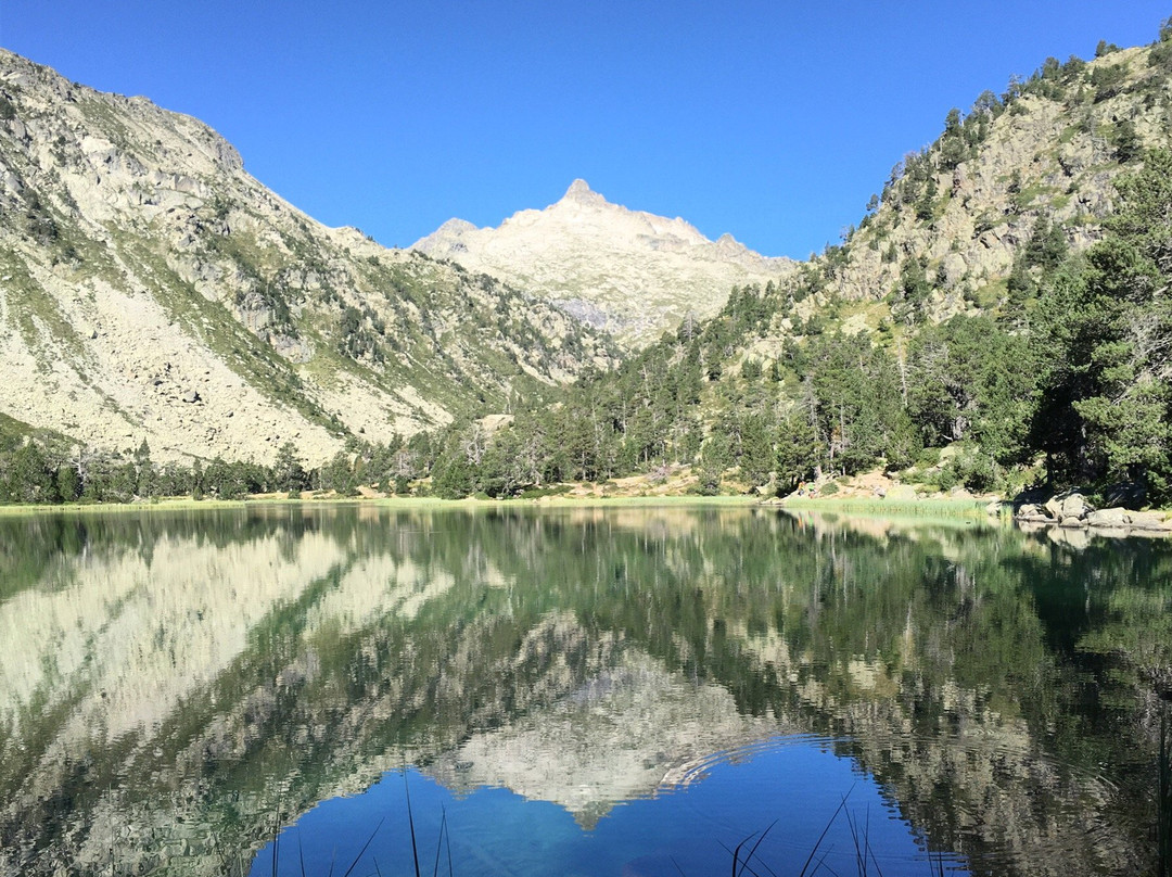 Aragnouet餐馆和美食-Chalet Hôtel du Lac d'Orédon