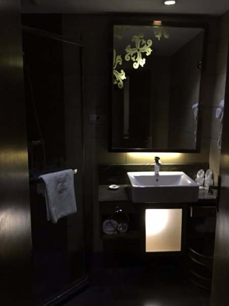 贵阳林城大酒店(省政府黔灵公园店)-浴室