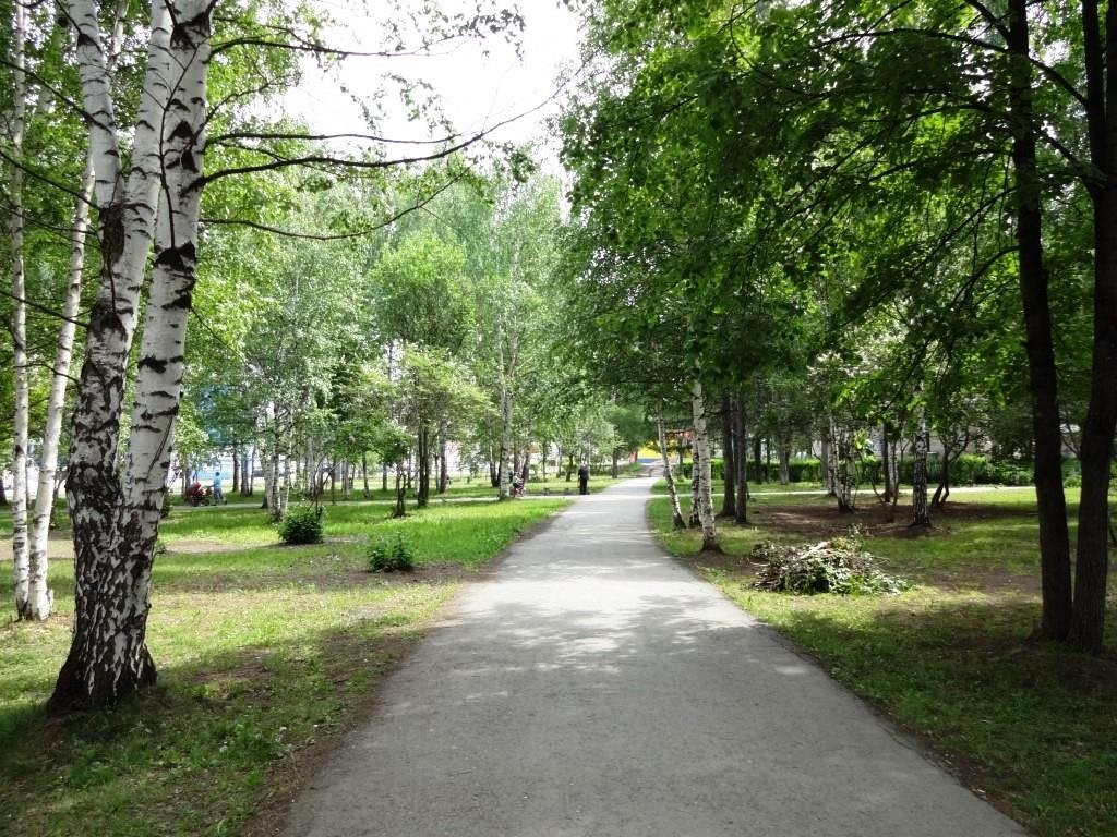 Park at Mira Street景点图片