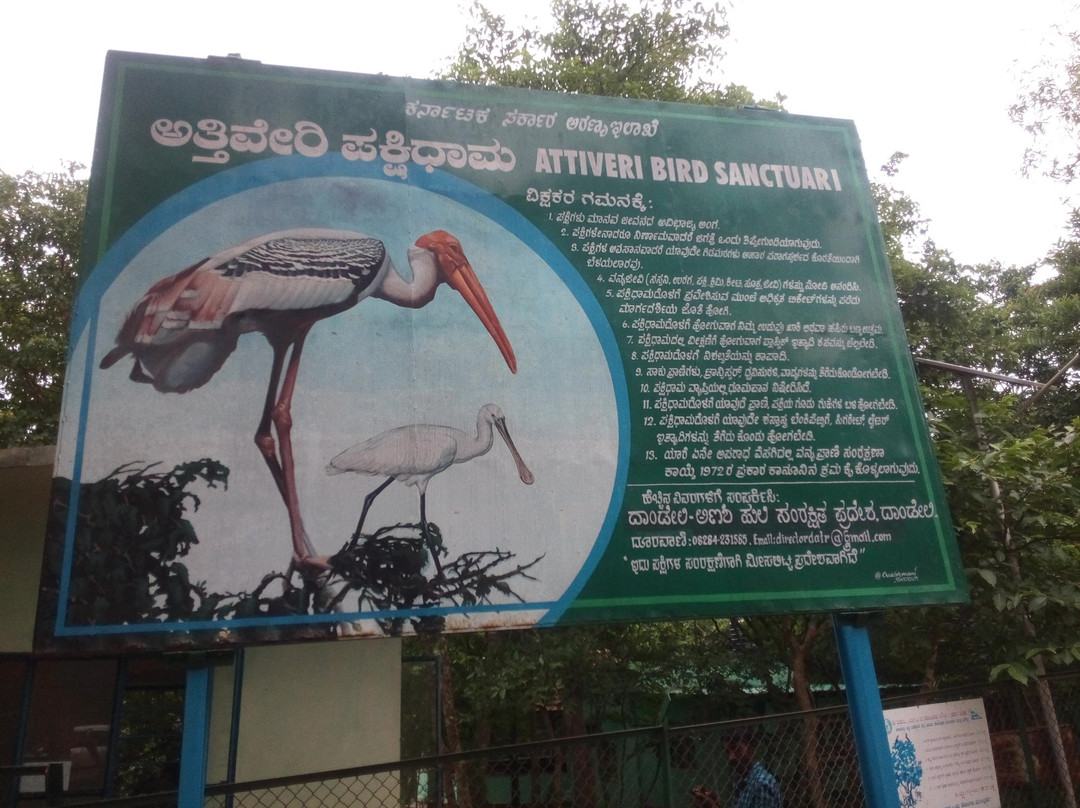 Attiveri Bird Sanctuary景点图片