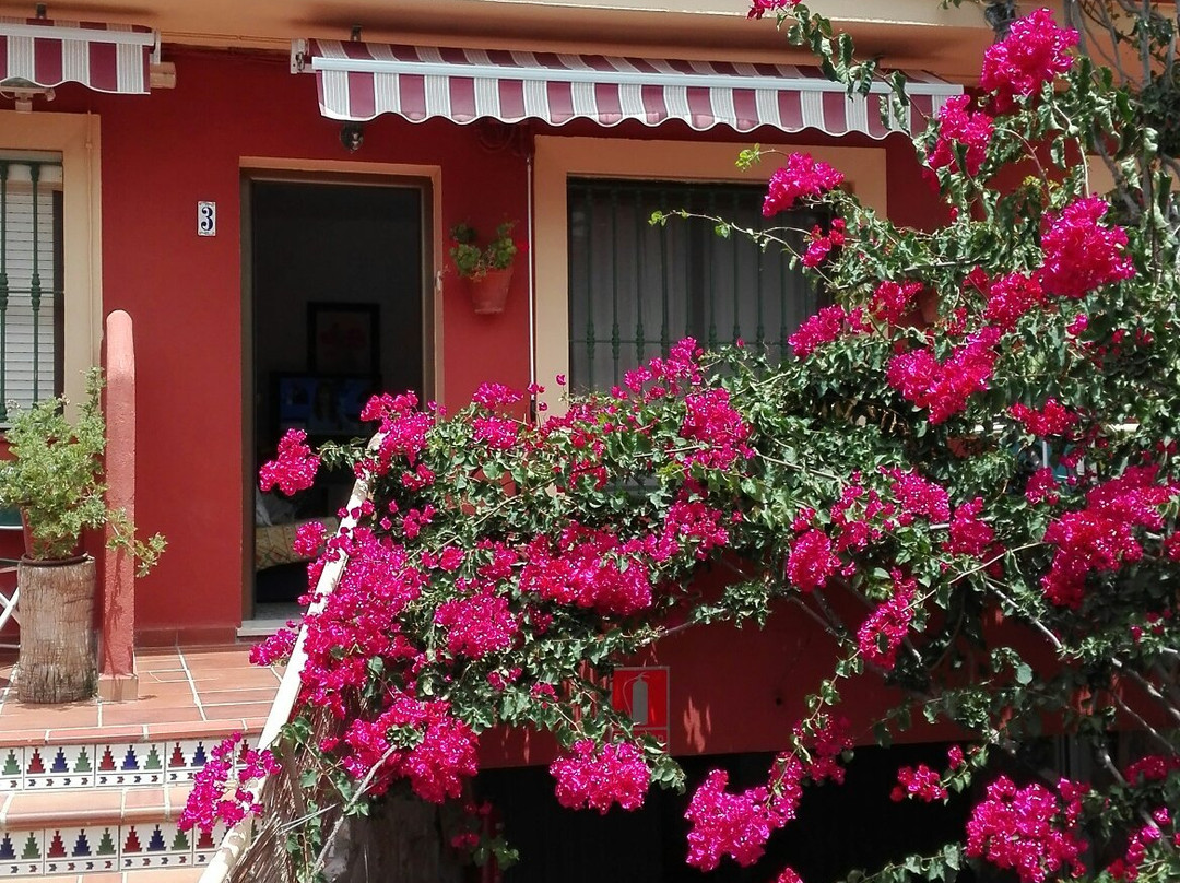 Apartamentos Trajano主图