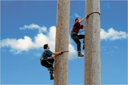 Scheer's Lumberjack Show-海沃德必去景点