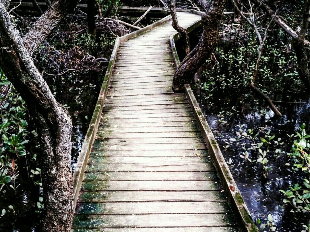 St Kilda Mangrove Trail and Interpretive Centre-圣基尔达必去景点