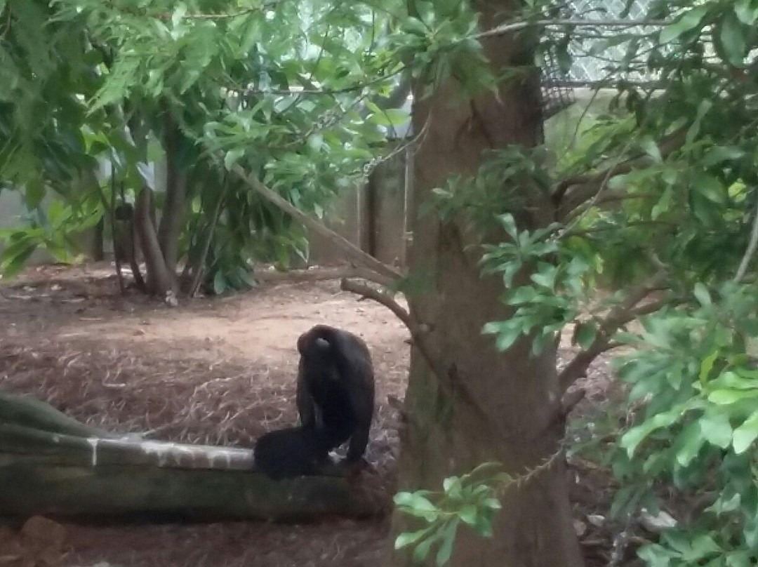 Flint RiverQuarium-奥尔巴尼必去景点