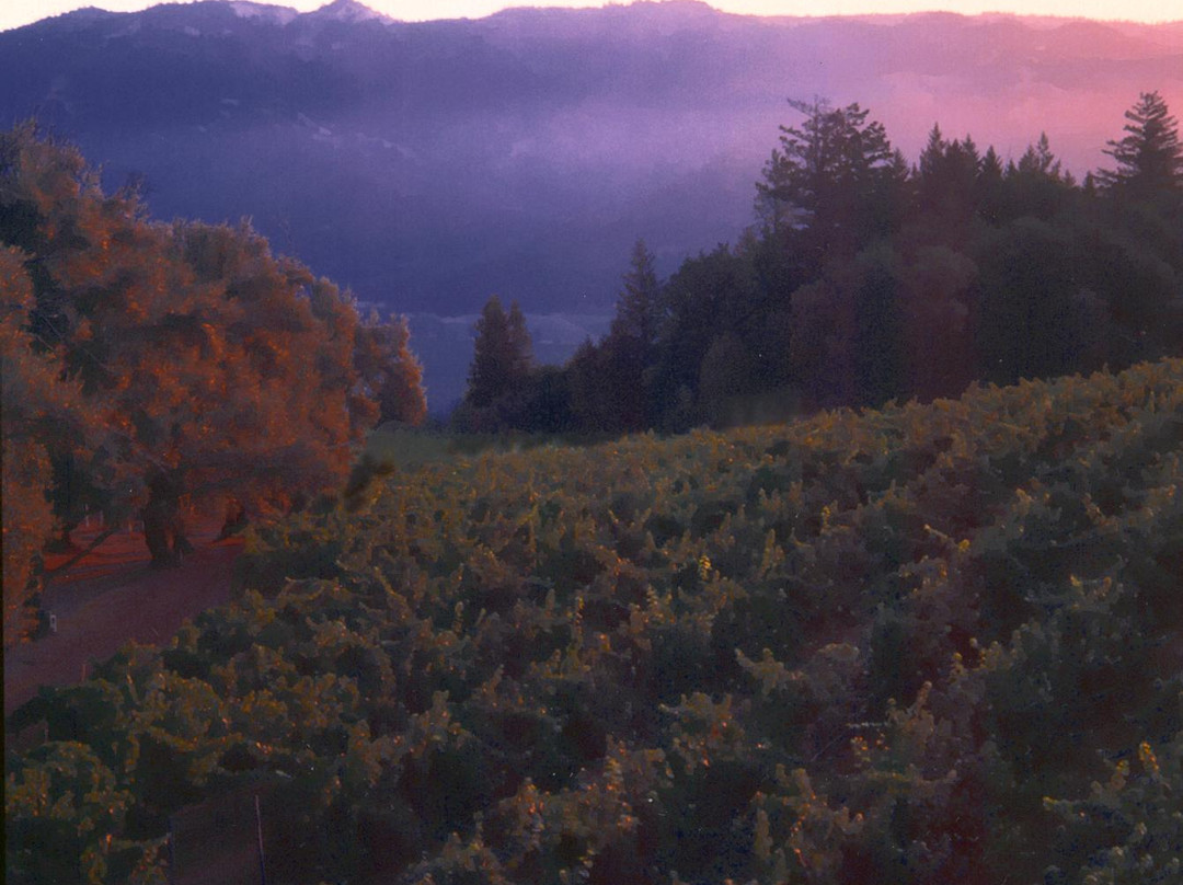 Smith-Madrone Vineyards景点图片