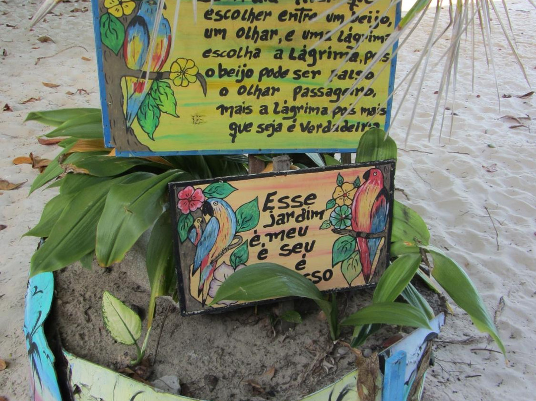 Praia do Sol-Santo Amaro必去景点