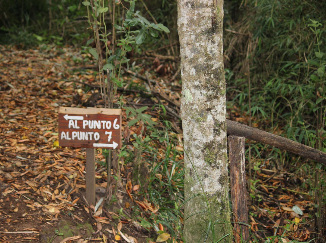 Reserva Forestal Edmundo Winkler-Frutillar必去景点