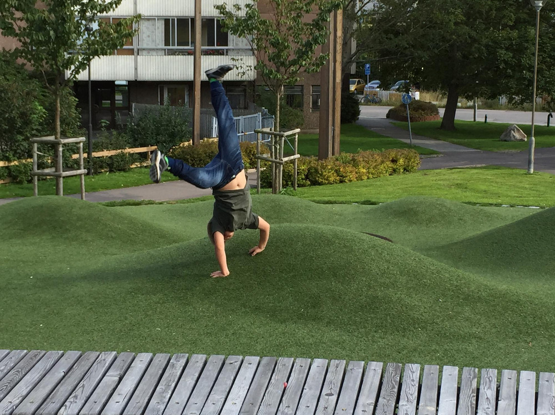 Positivparken-哥德堡必去景点