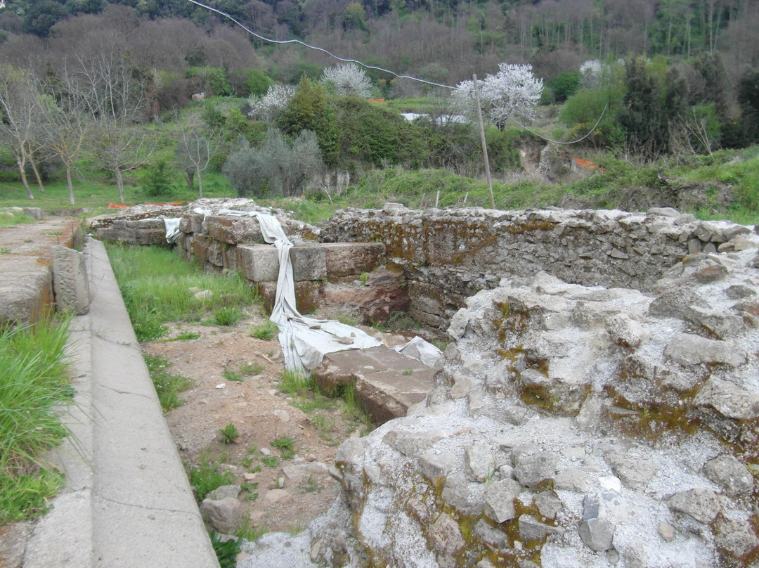 Tempio di Diana