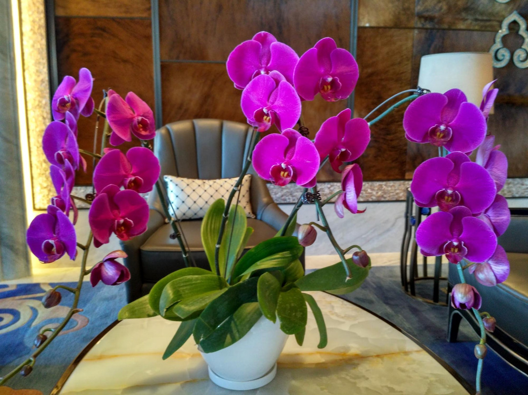 呼和浩特富力万达文华酒店主图