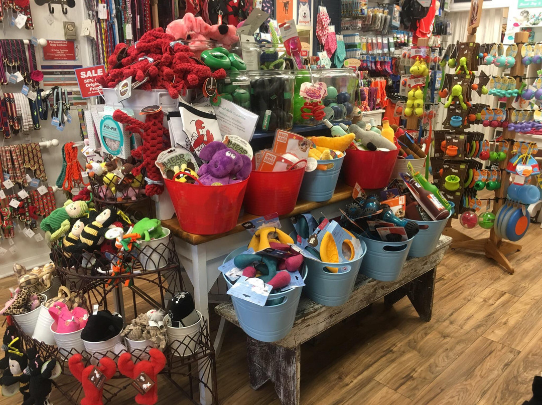 Scalawags Pet Boutique景点图片