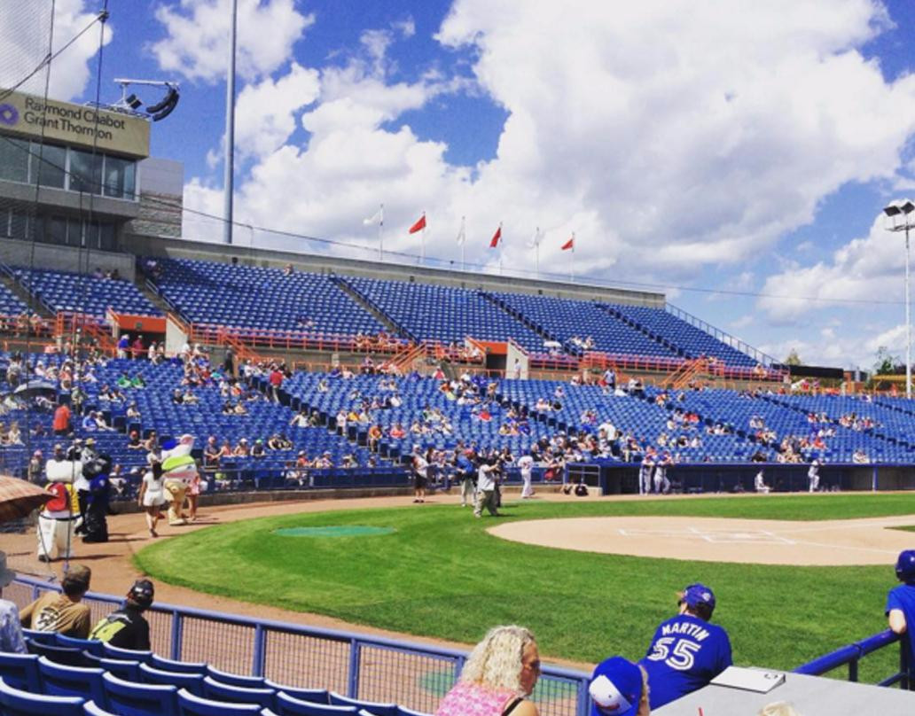 Ottawa Champions Baseball景点图片