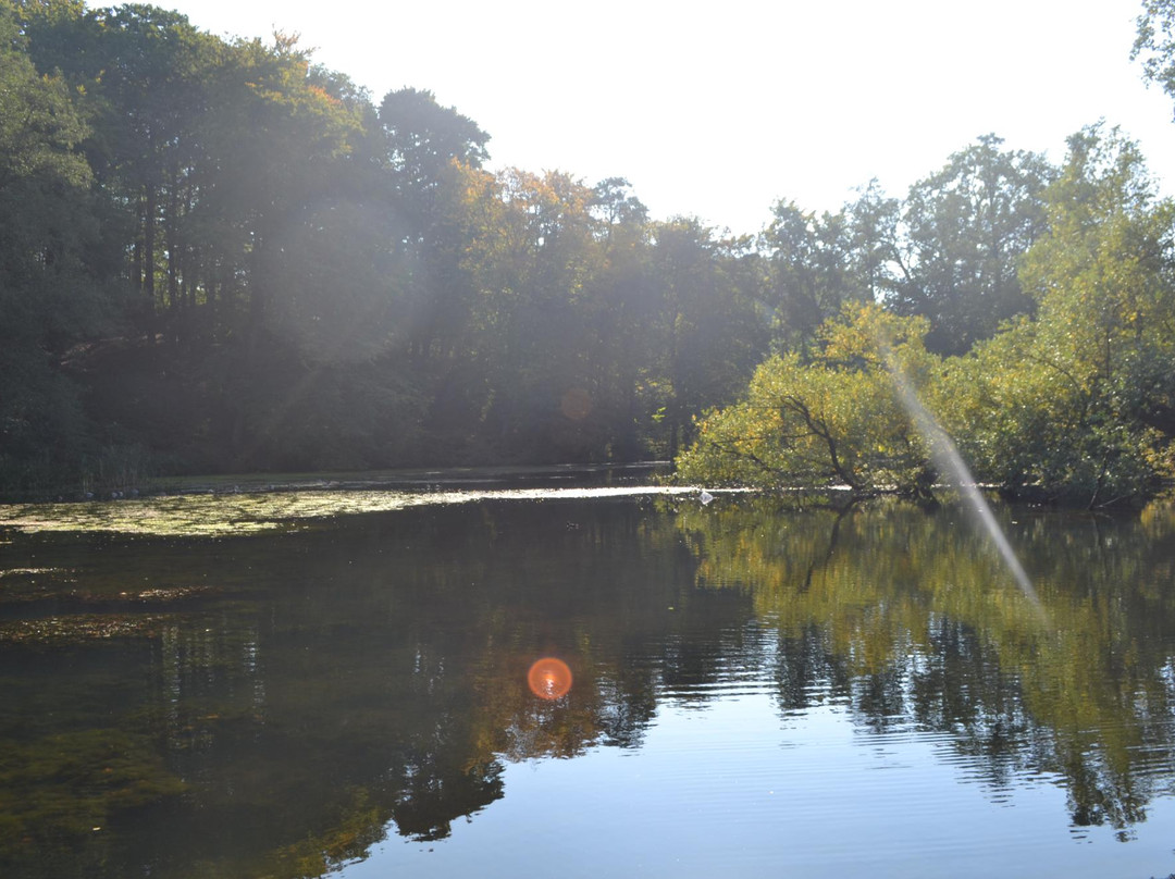 Parc de Séroule景点图片