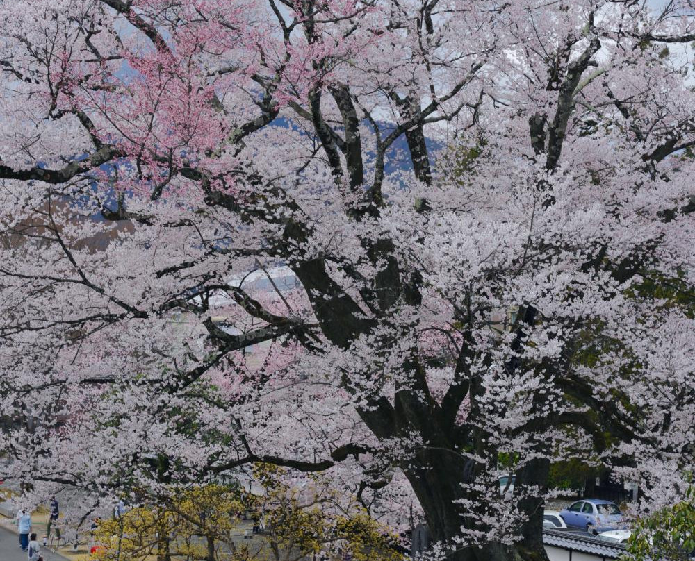 Iida City Museum of Art-饭田市必去景点