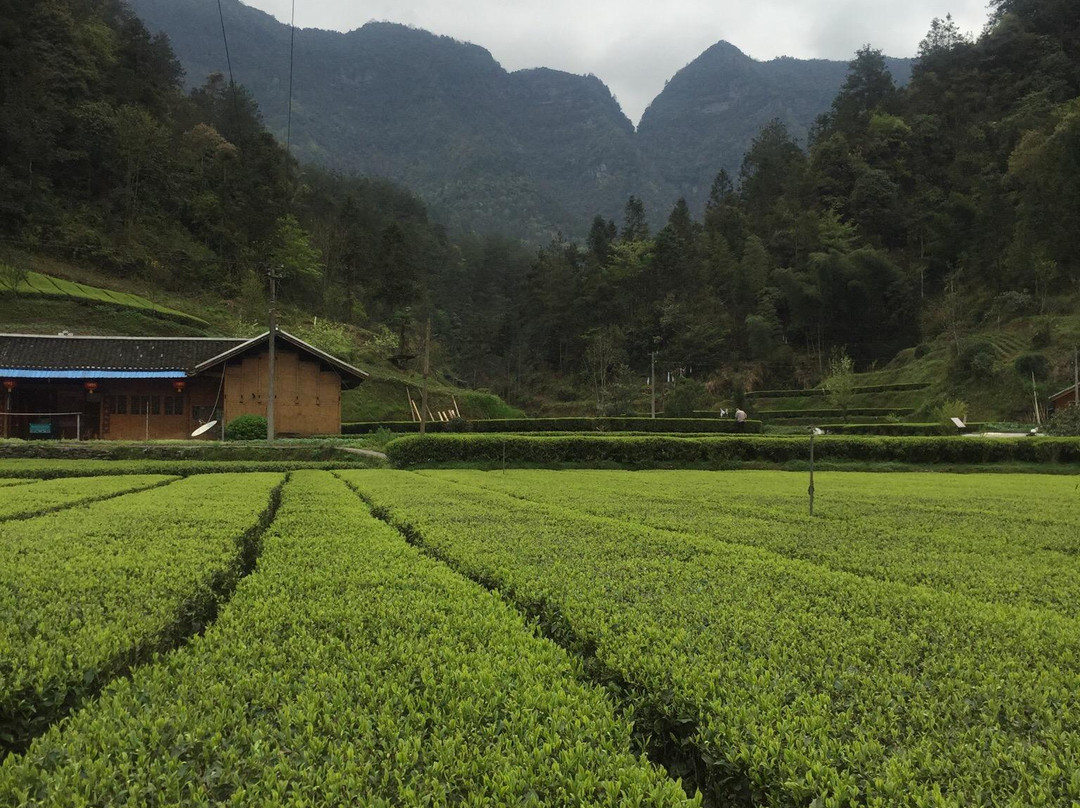 黄金洞-咸丰县必去景点