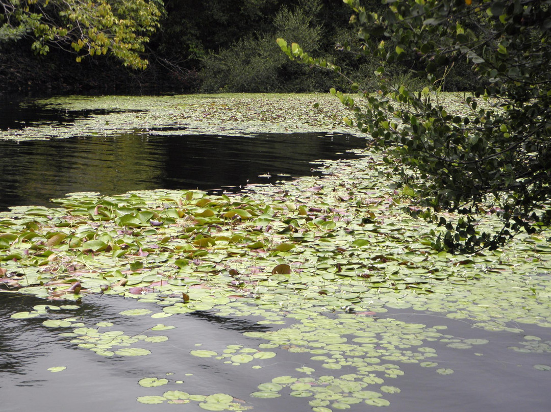 Lagoa da Princesa-Maracana必去景点