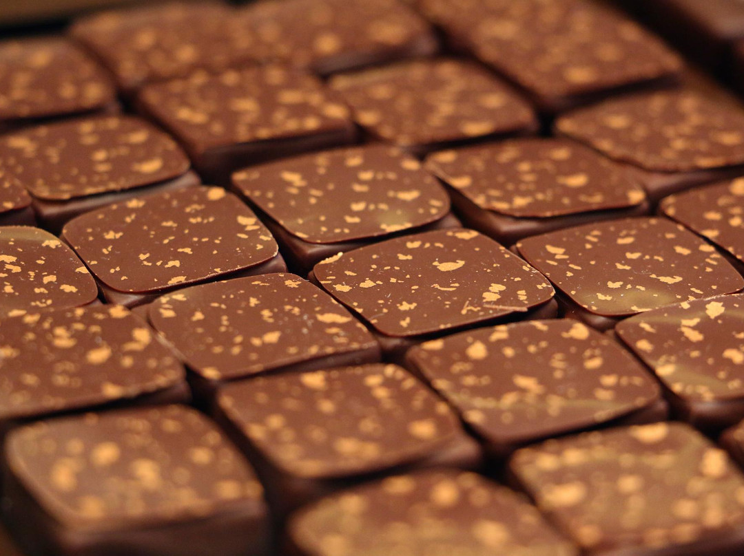 Le Cacaotier - Enghien Les Bains景点图片
