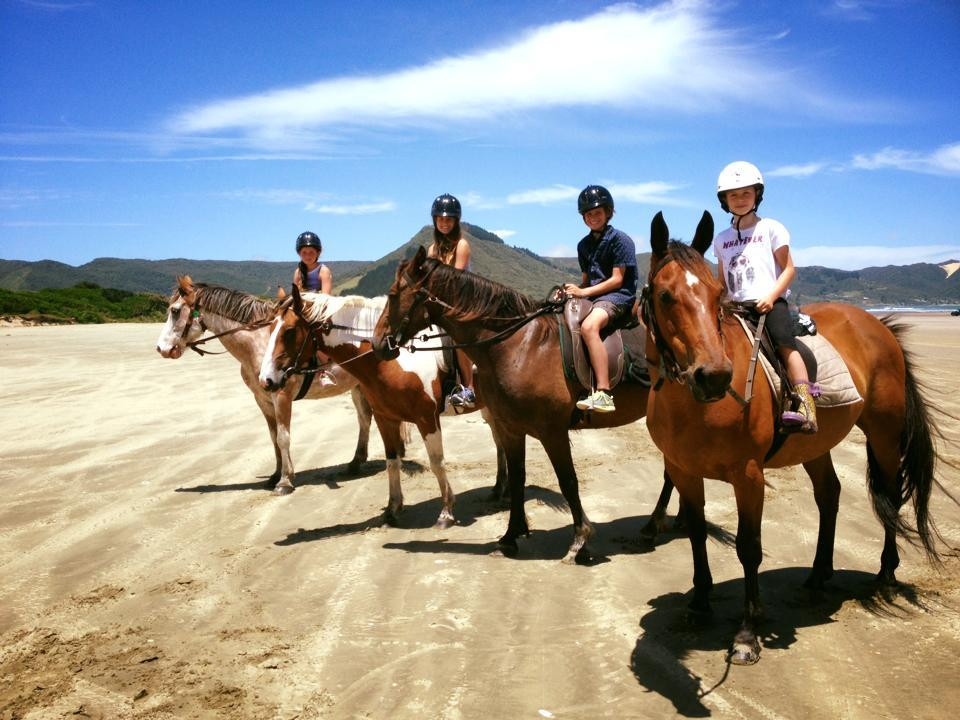 Ahipara Horse Treks