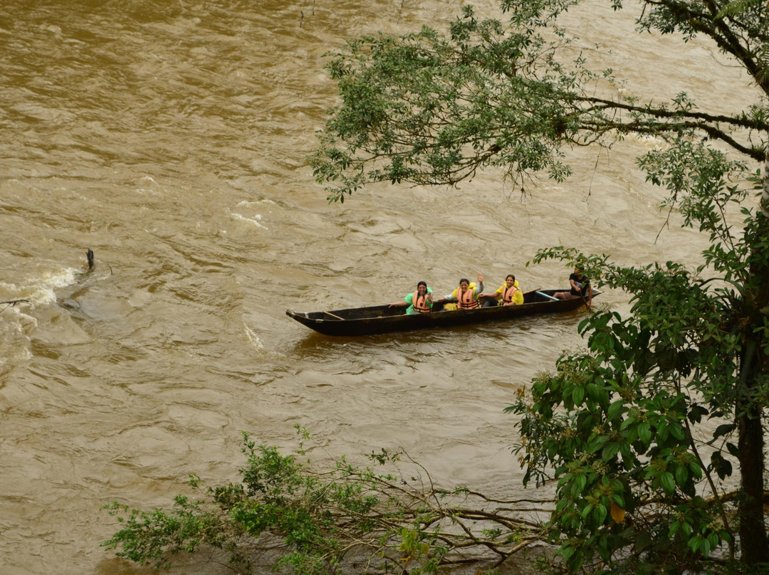 Portal a la Selva-Puyo必去景点