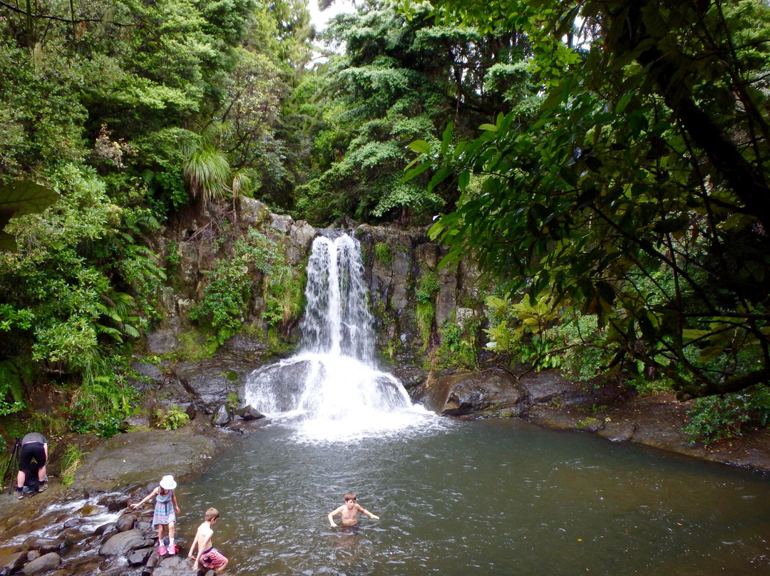 Waiau Falls Walk景点图片