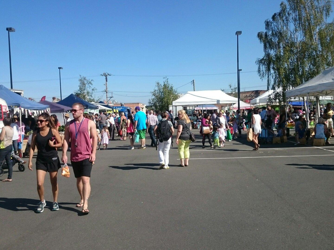 朗塞斯顿旅游景点-朗塞斯顿社区农贸市场