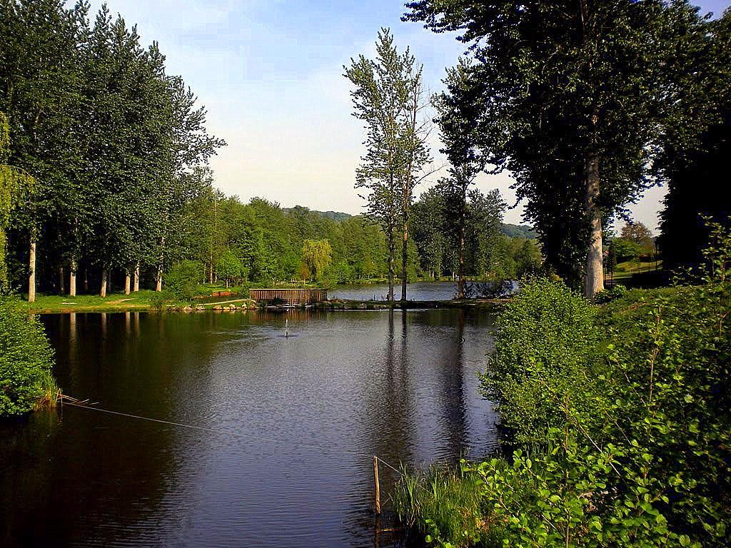 Falck旅游攻略图片