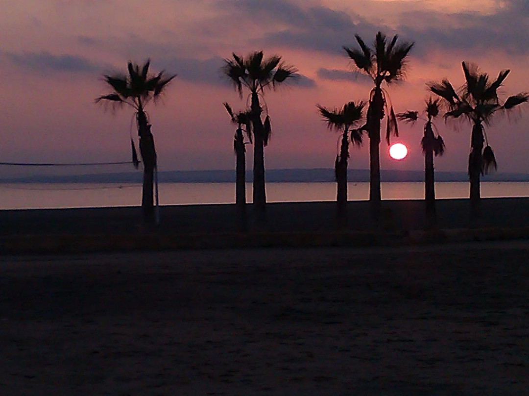 Playa Tamarit景点图片
