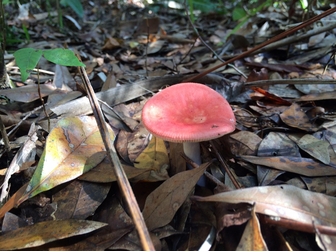 Oslo Riverfront Conservation Area (ORCA)-维罗海滩必去景点