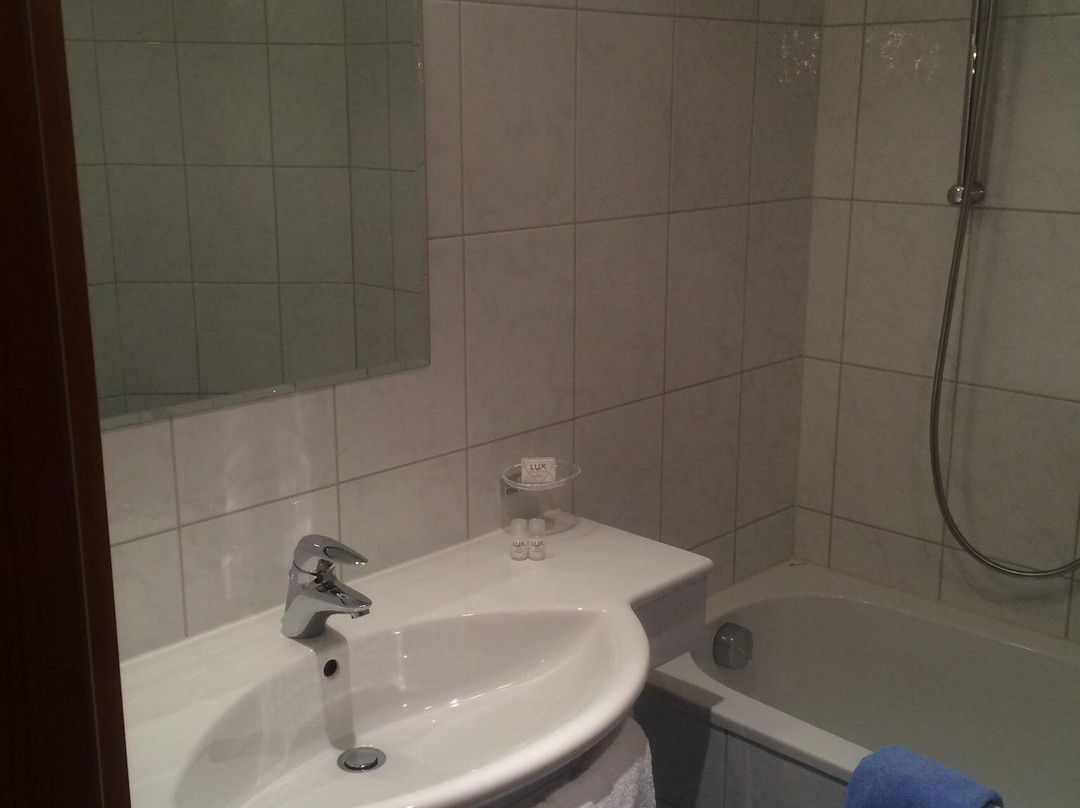 Michaelerhof Inn主图