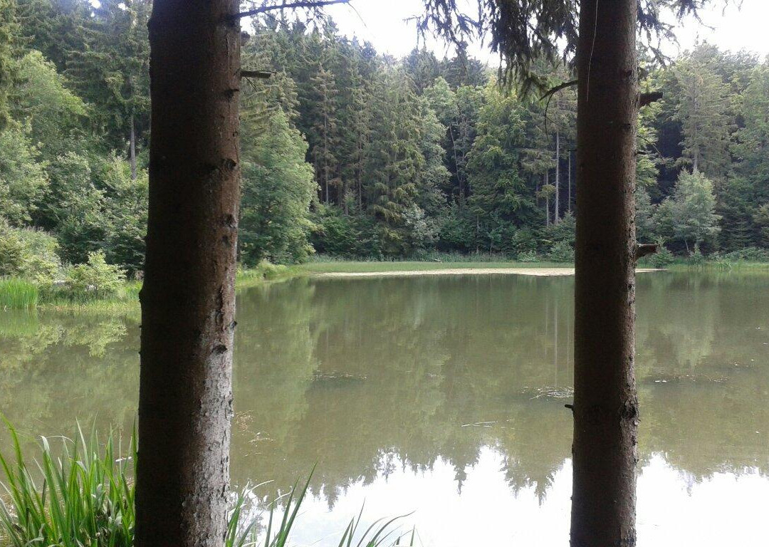 Rothsee-Bischofsheim in der Rhoen必去景点