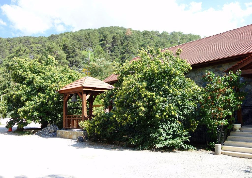 Monastery of Panayia Trikoukkia景点图片