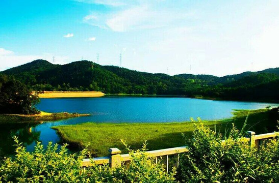 厦门吕塘香山-厦门市必去景点