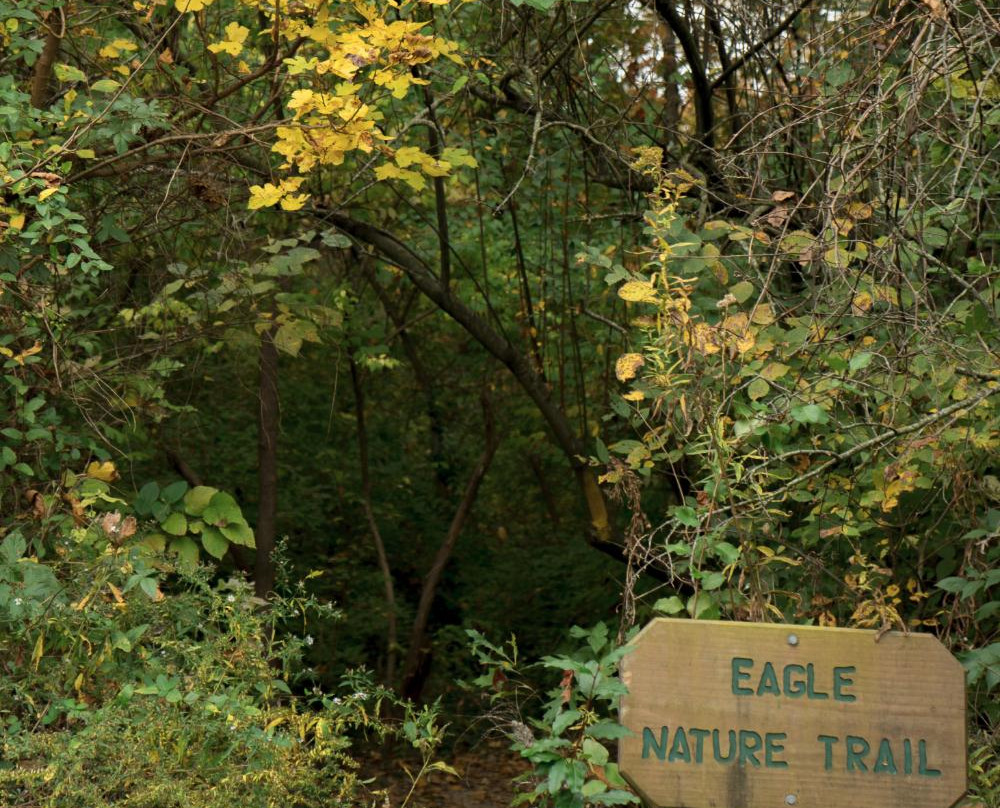 Rock Springs Park-O'Fallon必去景点