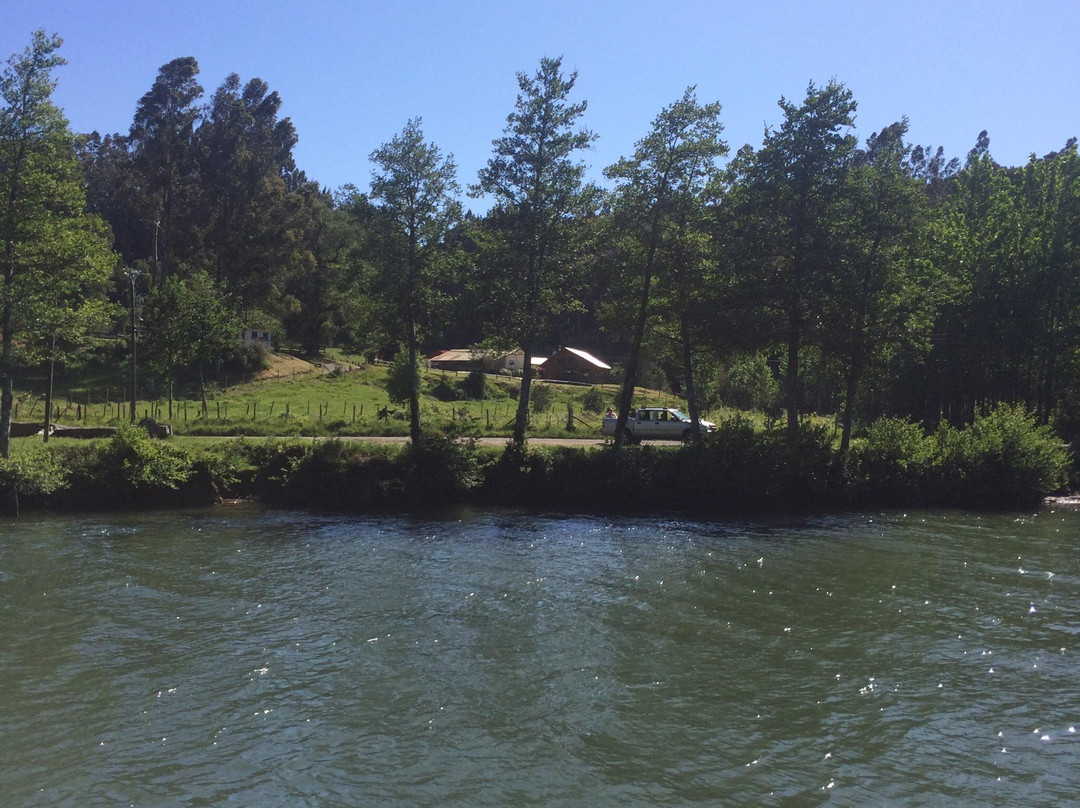 Transporte Fluvial Sustentable-瓦尔迪维亚必去景点