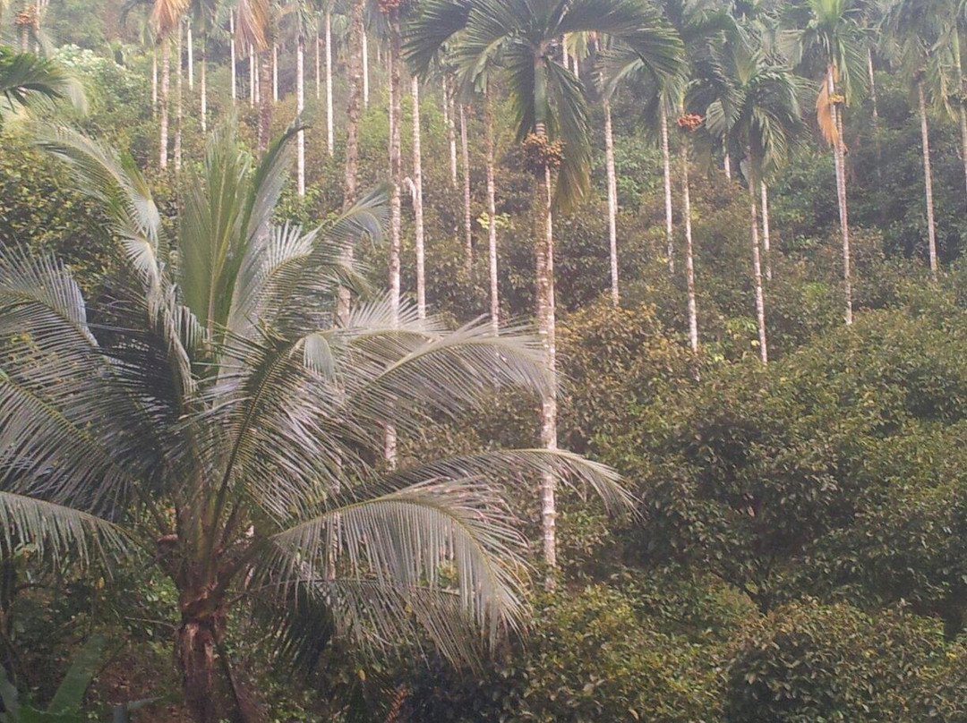 DinDang Natural Building Center景点图片